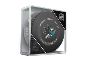 InGlasCo Fanúšikovský puk NHL Official Game Puck (1ks)